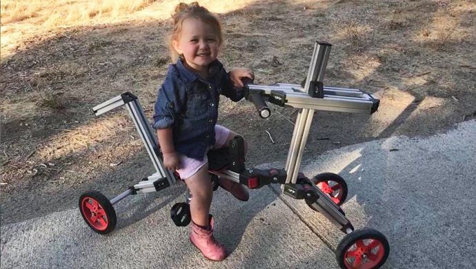 Horse Creation photo